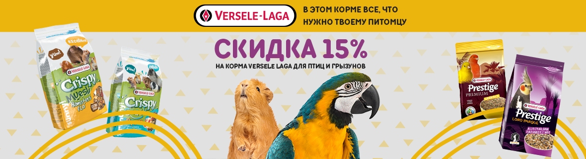 Зоозебра Интернет Магазин Чебоксары