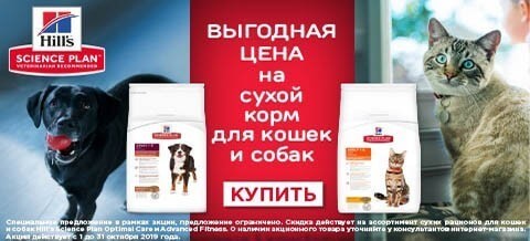 Зоосфера Интернет Магазин Нижний Адреса