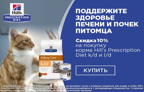 Зоосфера Интернет Магазин Нижний Адреса