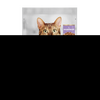Purina Pro Plan 7+ Adult 85г пауч для пожилых кошек с индейкой в соусе