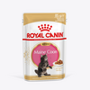 Royal Canin Maine Coon Kitten пауч для котят породы Мейн Кун до 15 месяцев 85г