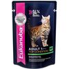 Eukanuba Adult пауч для взрослых кошек с говядиной в соусе 85г