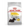Royal Canin Mini Dermacomfort сухой корм для собак мелких пород с чувствительной кожей