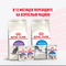 Royal Canin Kitten Sterilised пауч для стерилизованных котят мелкие кусочки в желе 85г