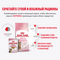 Royal Canin Kitten Sterilised пауч для стерилизованных котят мелкие кусочки в желе 85г
