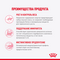 Royal Canin Kitten Sterilised пауч для стерилизованных котят мелкие кусочки в желе 85г