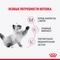 Royal Canin Kitten Sterilised пауч для стерилизованных котят мелкие кусочки в желе 85г