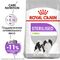 Royal Canin Mini Sterilised Adult сухой корм для стерилизванных собак мелких пород