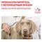 Royal Canin GASTROINTESTINAL PUPPY Корм сухой полнорационный диетический для щенков при расстройствах пищеварения