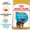 Royal Canin Yorkshire Terrier Puppy сухой корм для щенков породы йоркширский терьер