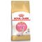 Royal Canin Kitten Sphynx сухой корм для котят породы сфинкс