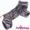 ForMyDogs Костюм-комбинезон св.черничный для девочек №14