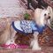 ForMyDogs Свитер вязаный "Зимний лес" синий №8-10