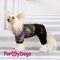 ForMyDogs Костюм утепленный черно/голубой металлик №10 Chh