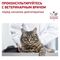 Royal Canin Urinary S/O сухой корм для кошек всех возрастов при МКБ
