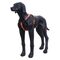 Шлейка ICEPEAK PET PROZONE SUPER HARNESS оранжевая