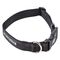 Ошейник ICEPEAK PET WINNER CLASSIC COLLAR