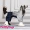 ForMyDogs Дождевик "Капли" синий/серебро для мальчиков №10