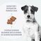 Royal Canin Mini Adult 8+ для взрослых собак мелких размеров (до 10 кг) старше 8 лет