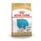 Royal Canin French Bulldog Puppy Корм сухой для щенков породы Французский Бульдог до 12 месяцев