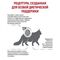 Royal Canin Diabetic сухой корм для кошек при сахарном диабете