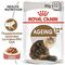 Royal Canin Ageing 12+ пауч для пожилых кошек в соусе 85г