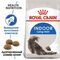 Royal Canin Indoor Long Hair сухой корм для домашних длинношерстных кошек всех возрастов