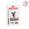 Royal Canin Gastro Intestinal Moderate Calorie 85г пауч для взрослых кошек при нарушении пищеварения