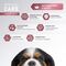 AWARD SPECIAL CARE Sensitive Skin&Coat Сухой корм для взрослых собак всех пород для здоровой кожи и шерсти со свежим лососем