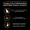 Purina Pro Plan Elegant Adult Optiderma сухой корм для кошек всех возрастов с чувствительной кожей с лососем