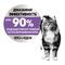 Royal Canin Appetite Control Care пауч для стерилизованных кошек склонных к перееданию в желе 85г
