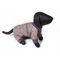 Зоофортуна демисезонный комбинезон на флисе МИТТЕЛЬШНАУЦЕР 51 см девочка