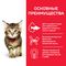 Hill`s Science Plan Kitten сухой корм для котят с тунцом